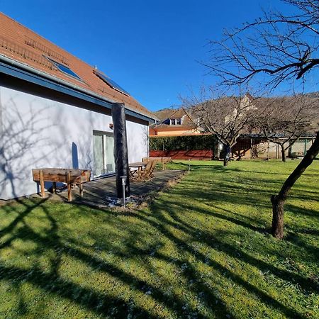 Le Gite De Cleo, Maison Spacieuse Et Paisible. Metzeral Exteriér fotografie