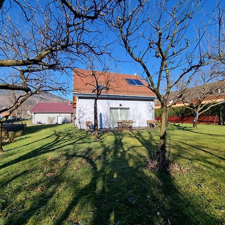 Le Gite De Cleo, Maison Spacieuse Et Paisible. Metzeral Exteriér fotografie