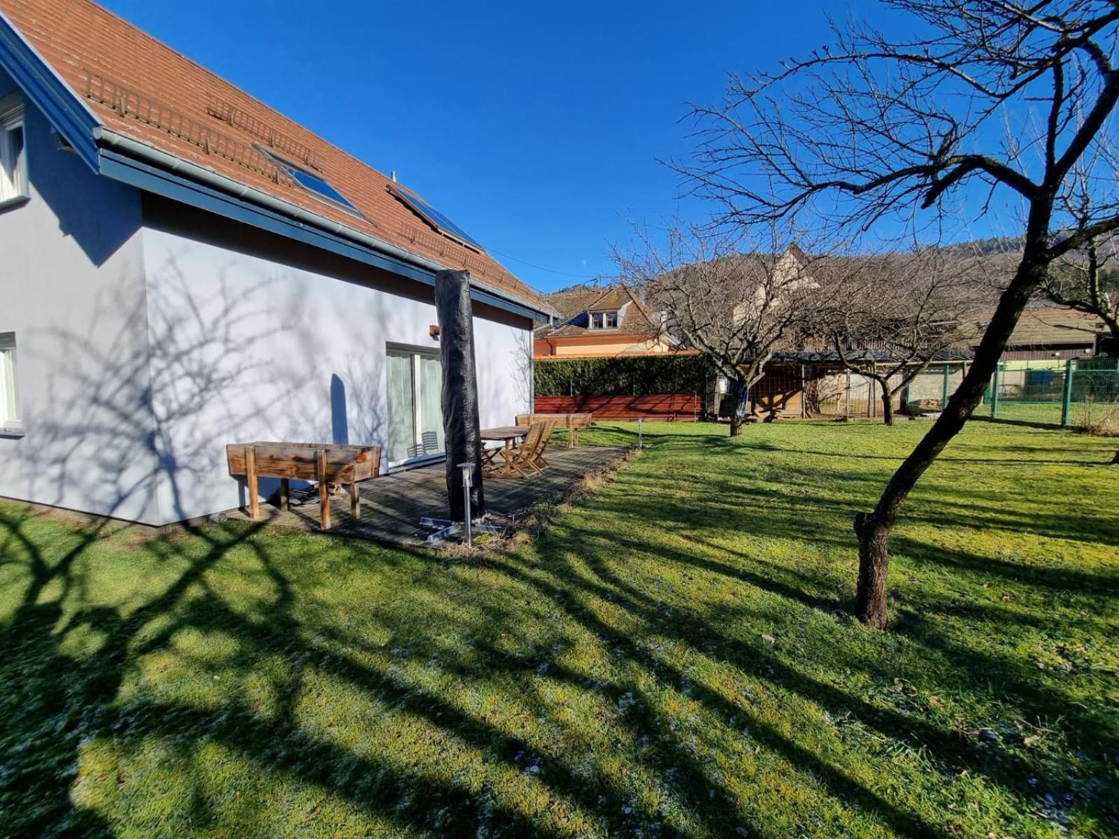 Le Gite De Cleo, Maison Spacieuse Et Paisible. Metzeral Exteriér fotografie